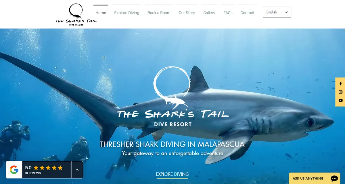 The Shark's Tail interface preview